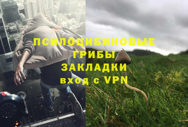 spice Беломорск