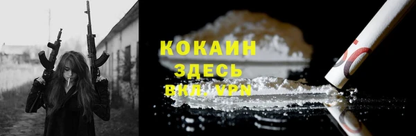 амф Бородино