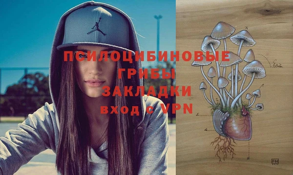 мескалин Богородск