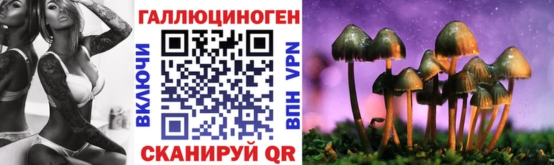 Псилоцибиновые грибы Cubensis  мориарти Telegram  Каргат 